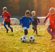 弗兰克揭秘,亿级引援暂,无计划,乐鱼体育LeYu,Sports官网,LeYu,Sports乐鱼体育娱乐,乐鱼体育投注,乐鱼体育平台,乐鱼体育赛事直播,乐鱼体育app下载