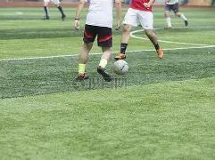 乐鱼体育,资讯,乐鱼体育LeYu,乐鱼体育LeYu,Sports官网,LeYu,Sports乐鱼体育娱乐,乐鱼体育投注,乐鱼体育平台,乐鱼体育赛事直播,乐鱼体育app下载