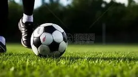 乐鱼体育 资讯 174204 1lp