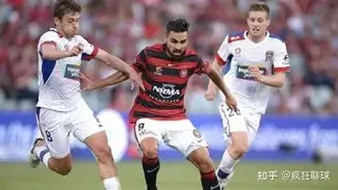 乐鱼体育 资讯 174231 u1a