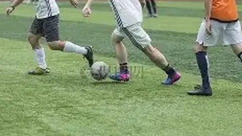 乐鱼体育 资讯 083556 l2m